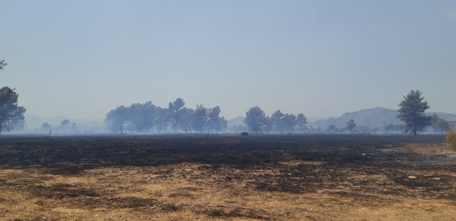 Požar u reonu Ćemovskog polja pod kontrolom; Služba zaštite i spašavanja prati stanje na terenu