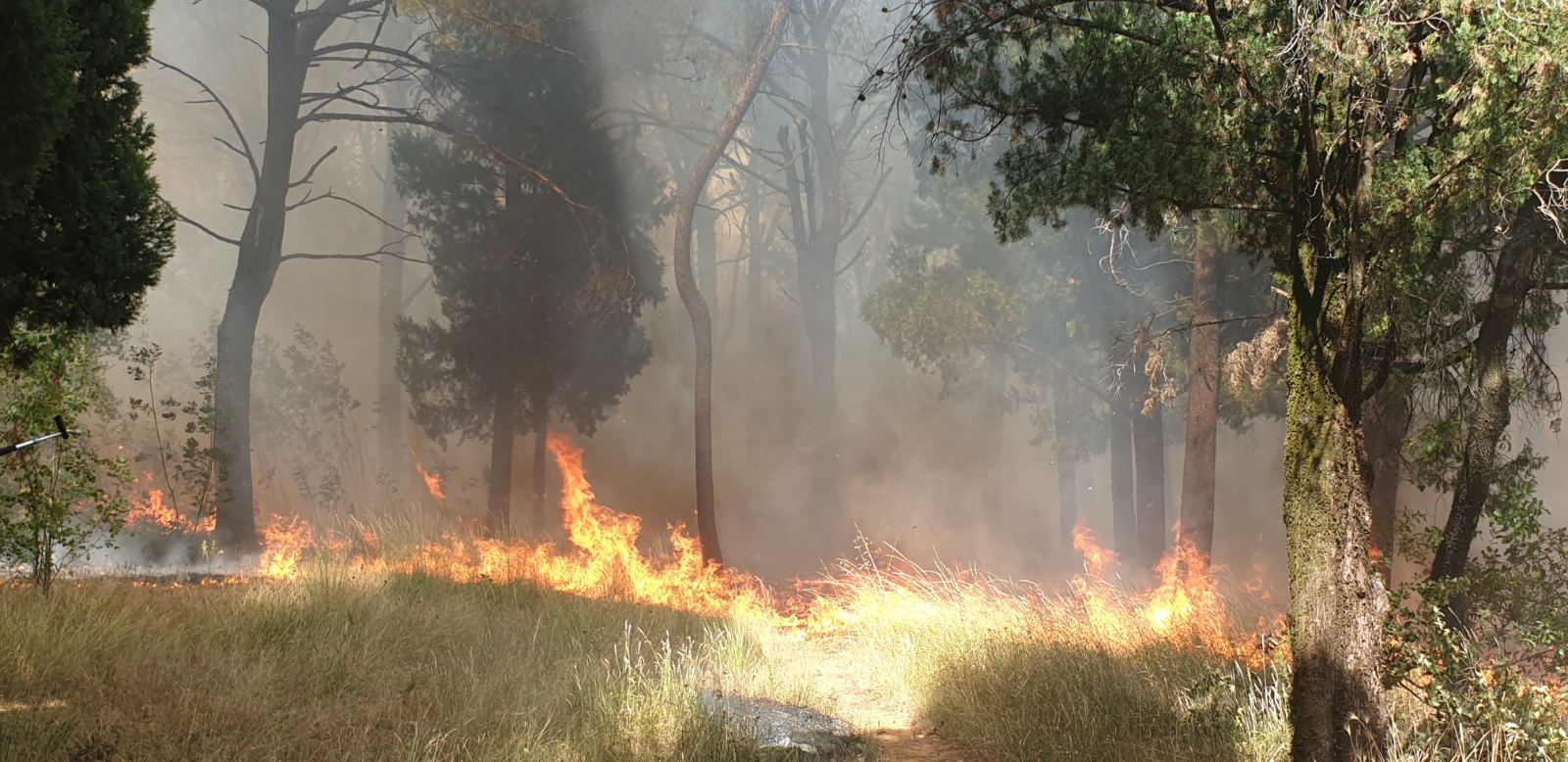 Požar na brdu Gorica; Ekipe Službe zaštite i spašavanja na terenu