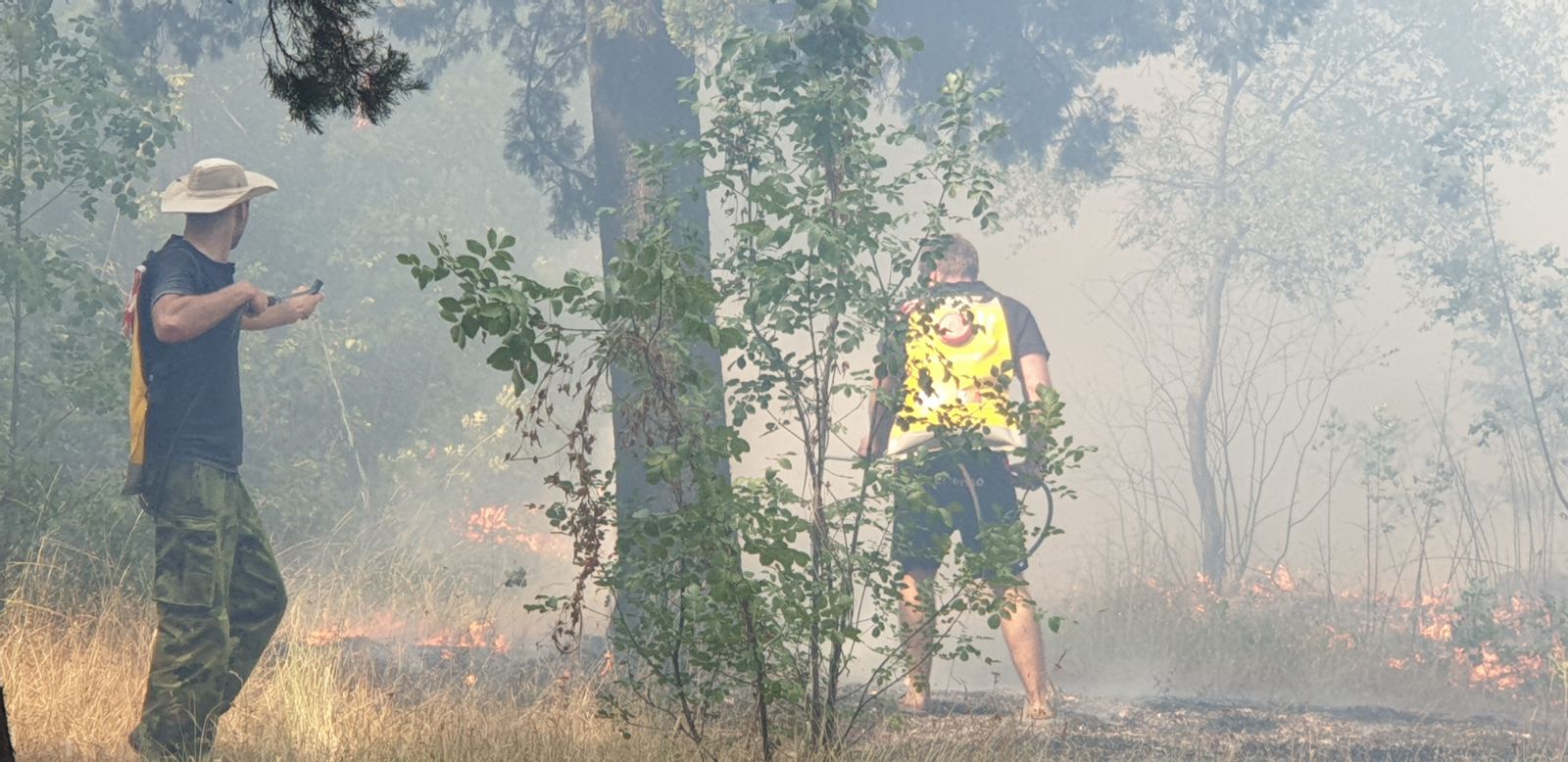 Požar na brdu Gorica; Ekipe Službe zaštite i spašavanja na terenu