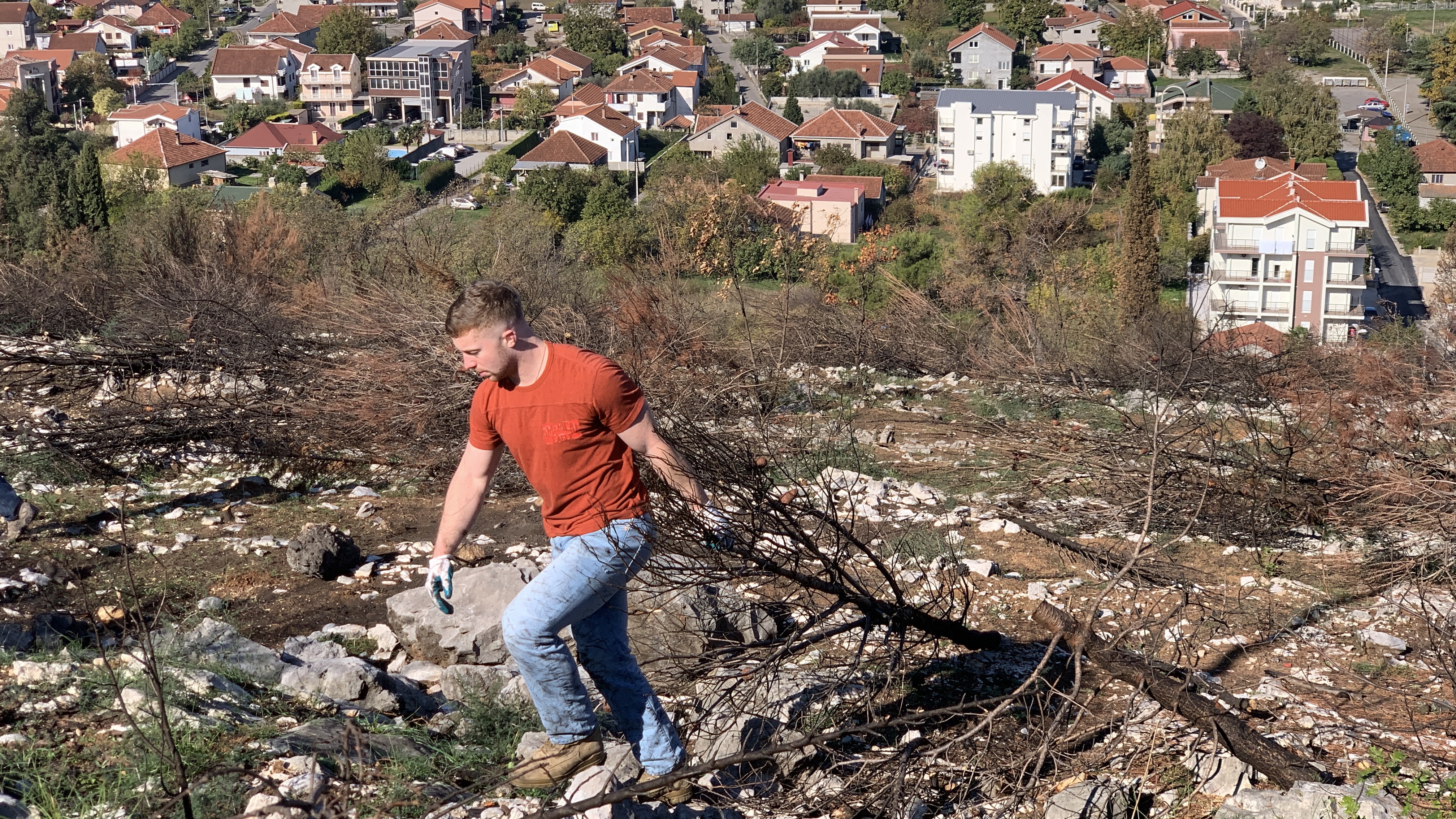 Stvorene pretpostavke za revitalizaciju brda Gorica; Sadnja tokom novembra