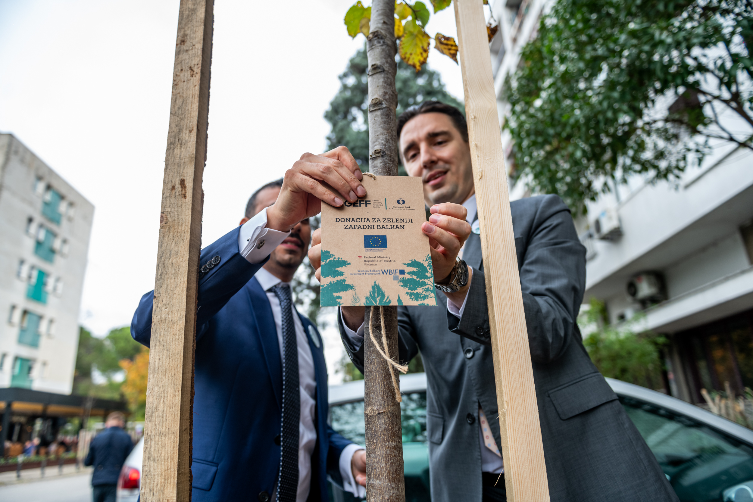 Kroz program finansiranja zelene ekonomije Zapadnog Balkana u Podgorici zasađeno 10 stabala lipe