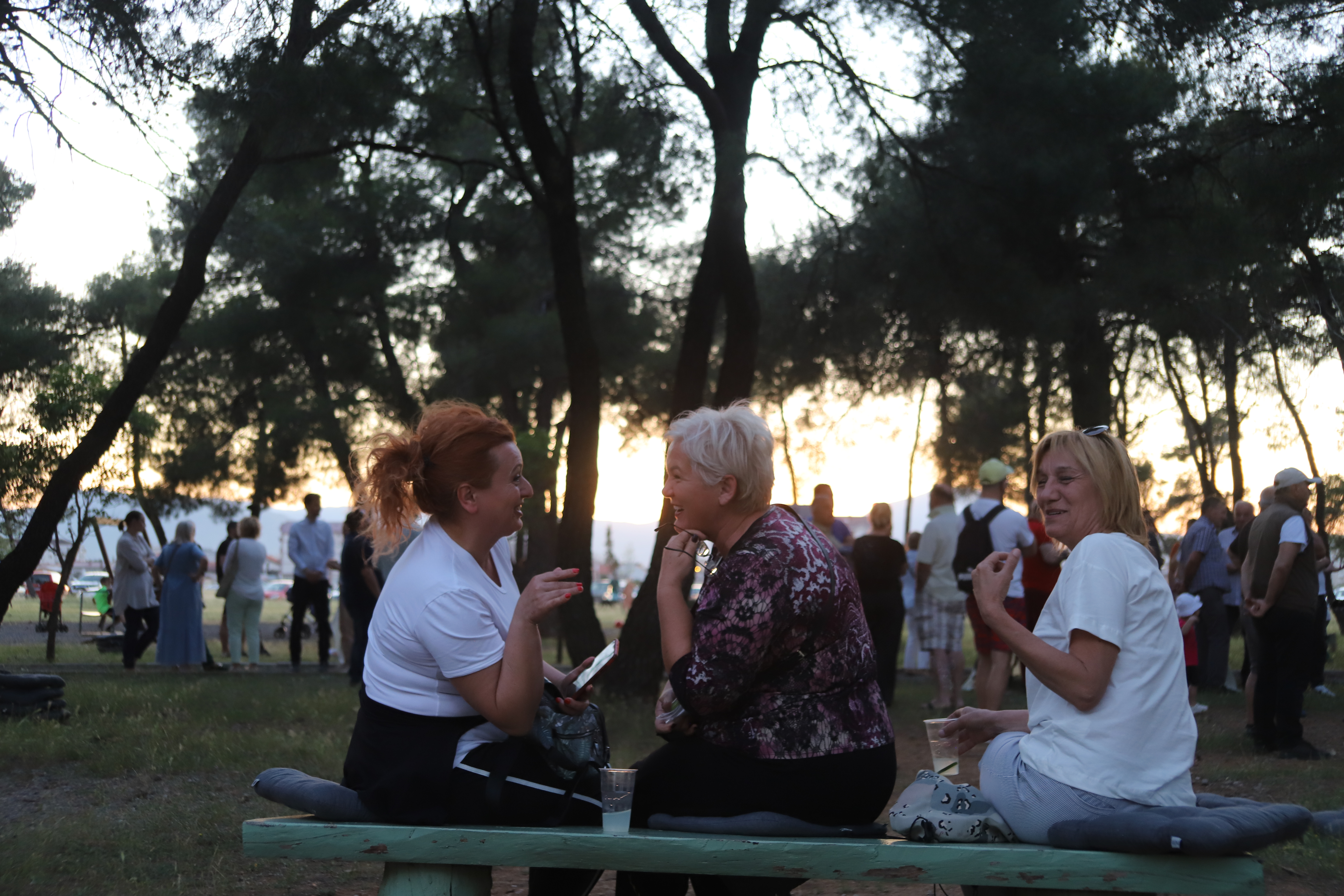 Veliko interesovanje građana za učešće u osmišljavanju najvećeg parka u Podgorici; Već pristižu sjajne ideje