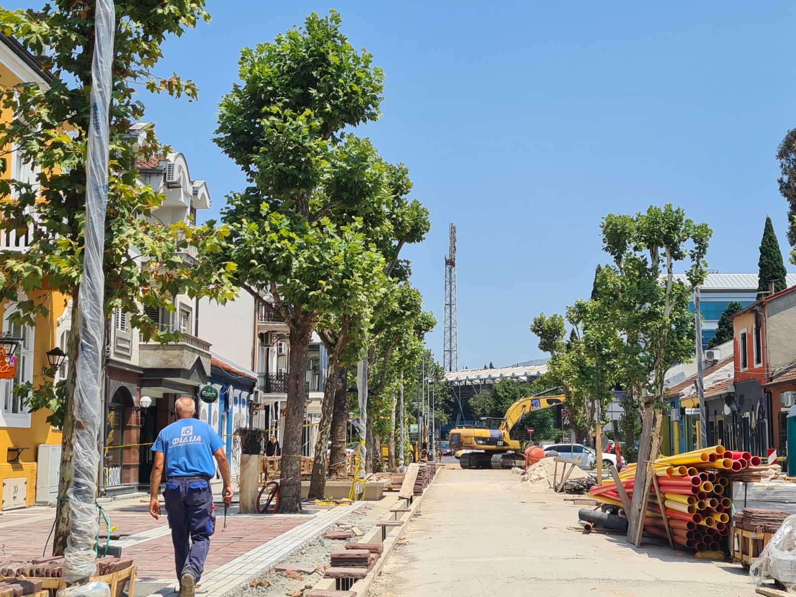 Obogaćuje se biljni fond u samom centru grada: Njegoševa ulica dobija dodatnih sedam sadnica platana
