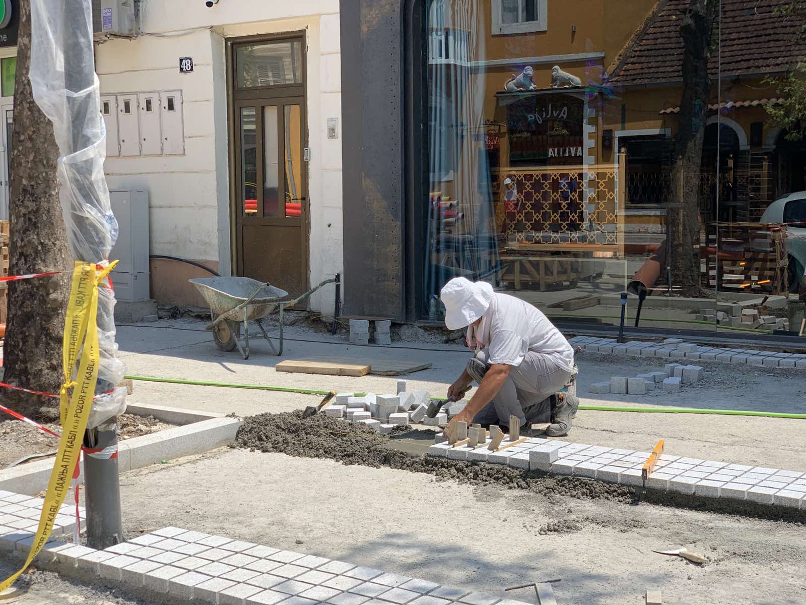 Obogaćuje se biljni fond u samom centru grada: Njegoševa ulica dobija dodatnih sedam sadnica platana