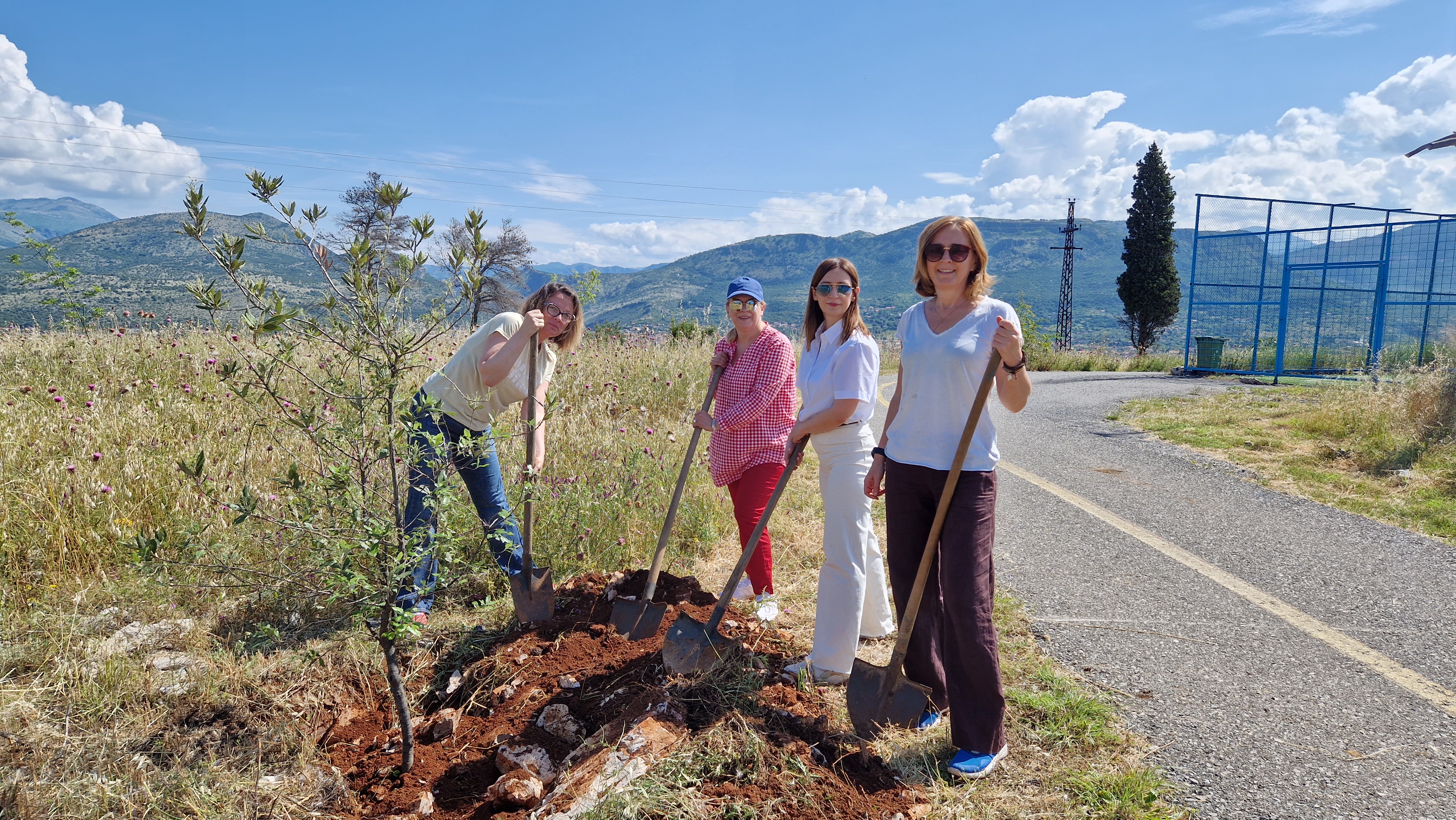 Akcijom pošumljavanja brda Gorica obilježen Svjetski dan zaštite životne sredine