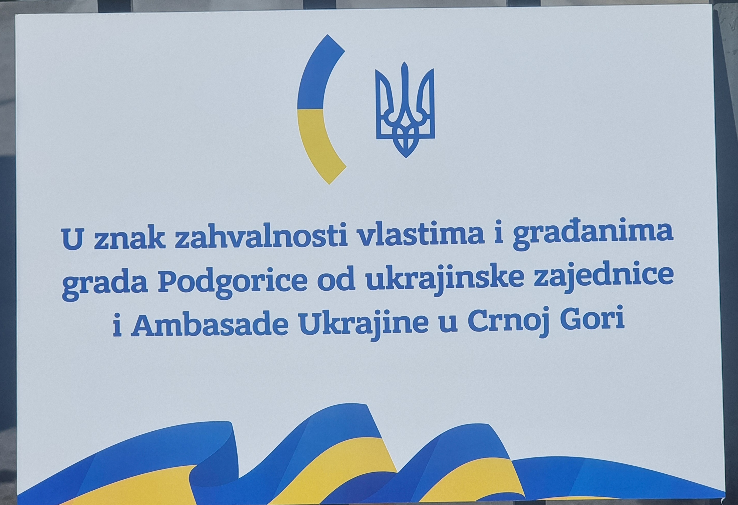 Platan kao simbol zahvalnosti Ukrajine Podgorici i Crnoj Gori zasađen u parku na Starom aerodromu