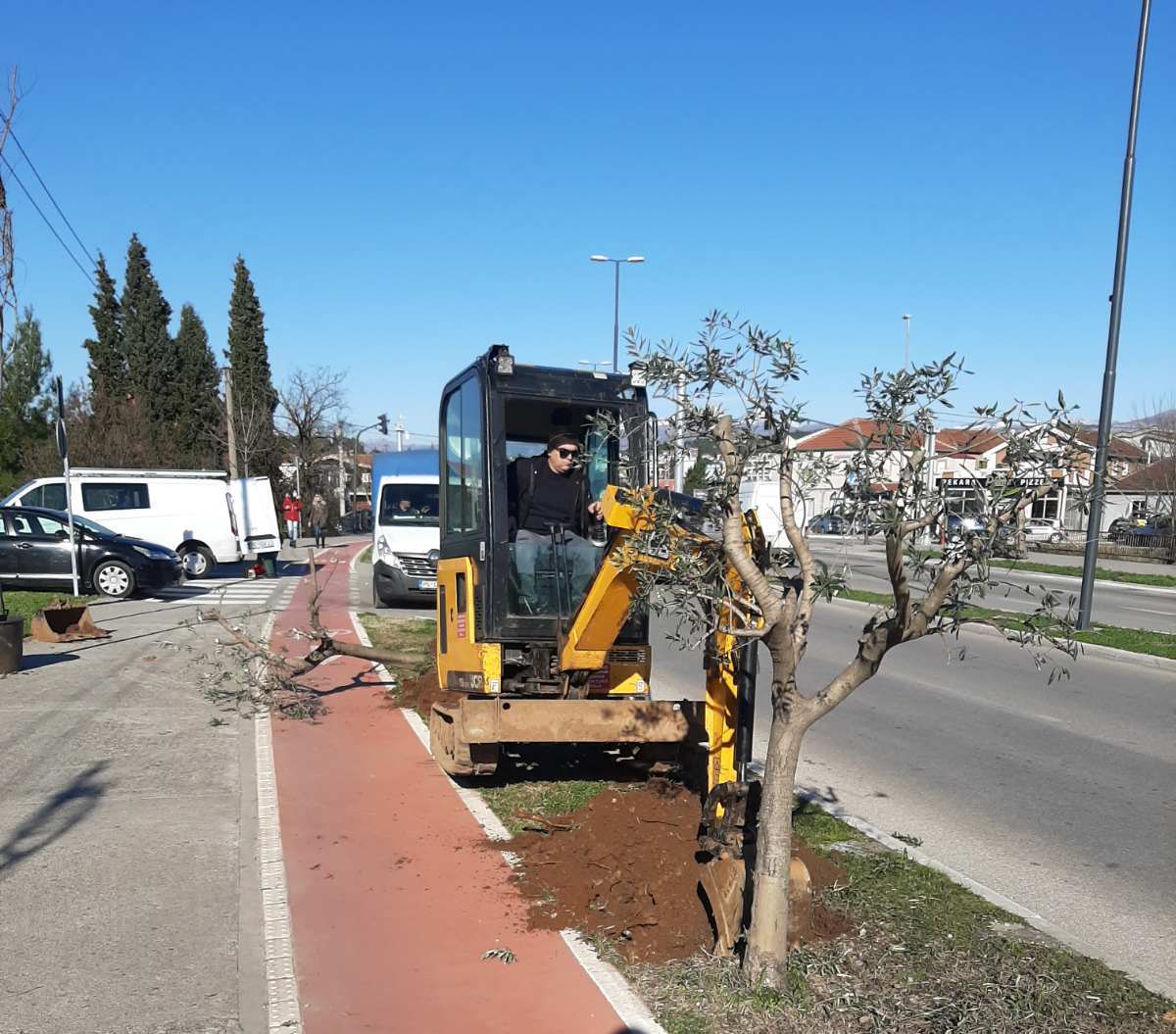 Bulevar Crnogorskih serdara dobija novi drvored košćela