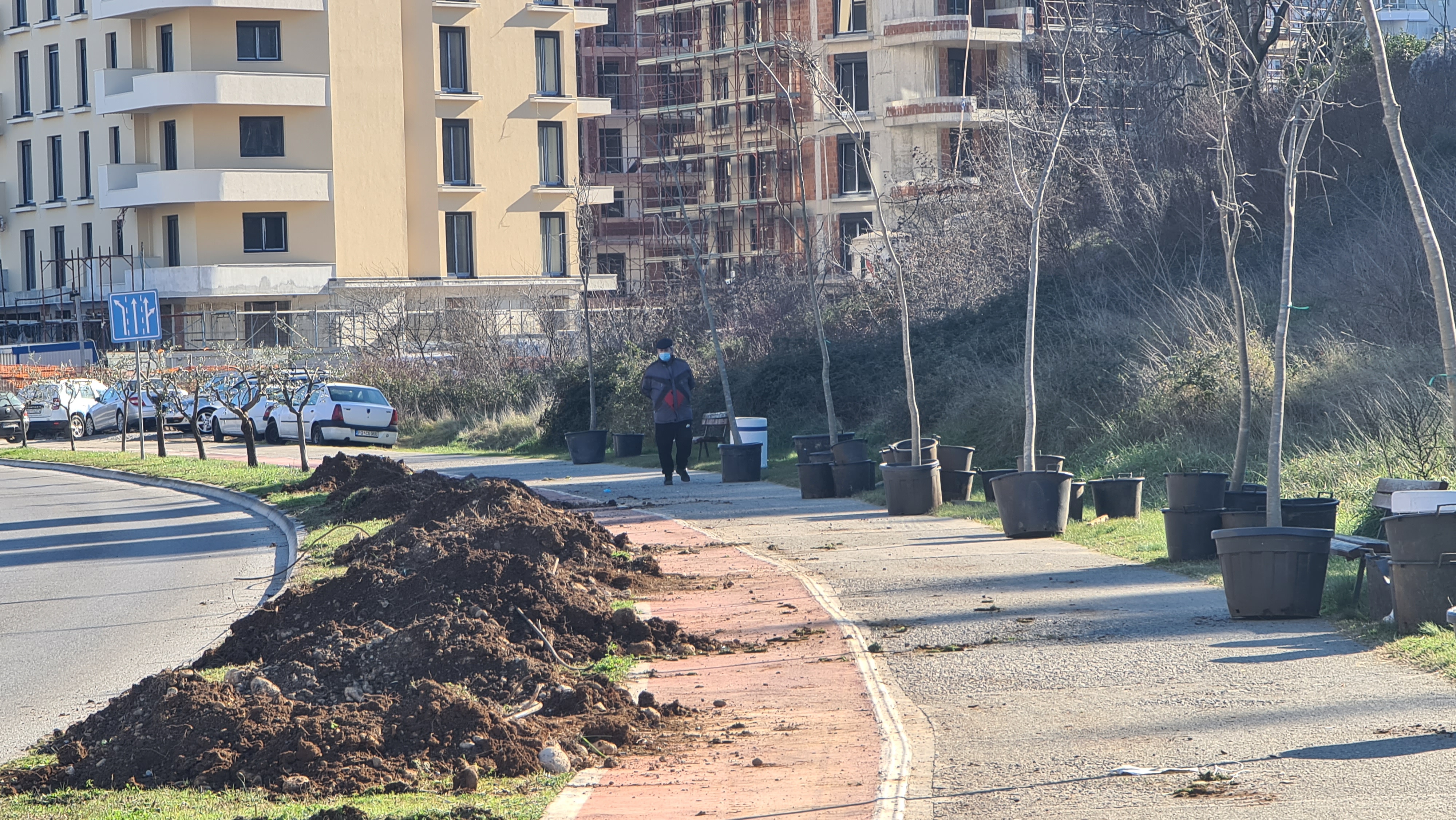 Bulevar Crnogorskih serdara dobija novi drvored košćela