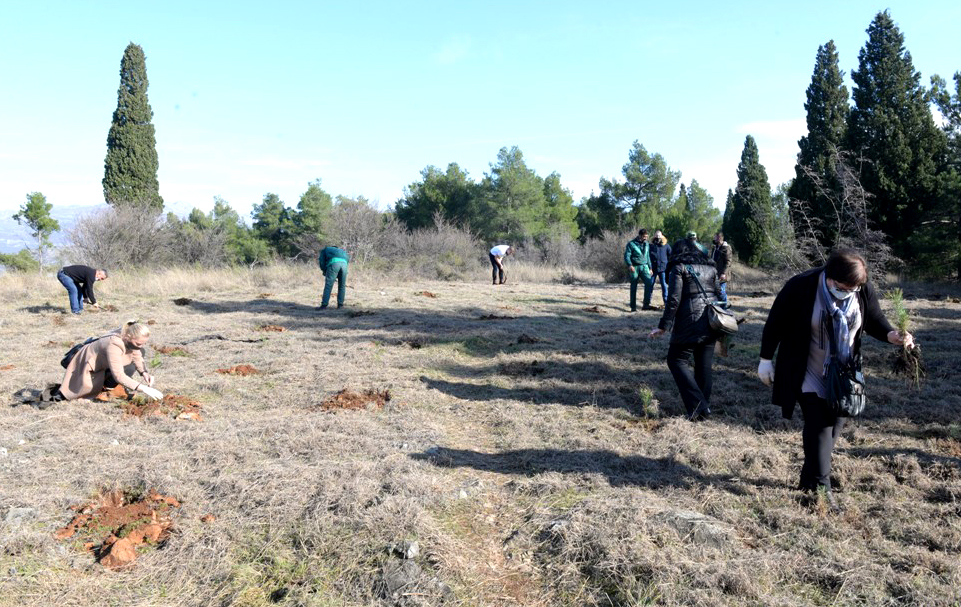 Realizovana još jedna akcija pošumljavanja - Na Gorici posađeno 500 sadnica