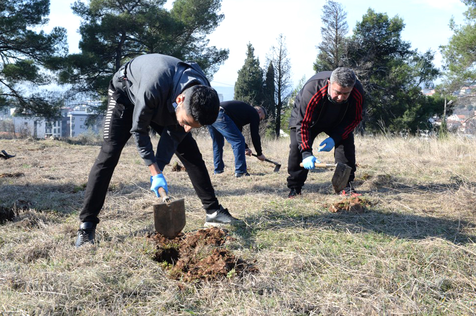 Realizovana još jedna akcija pošumljavanja - Na Gorici posađeno 500 sadnica