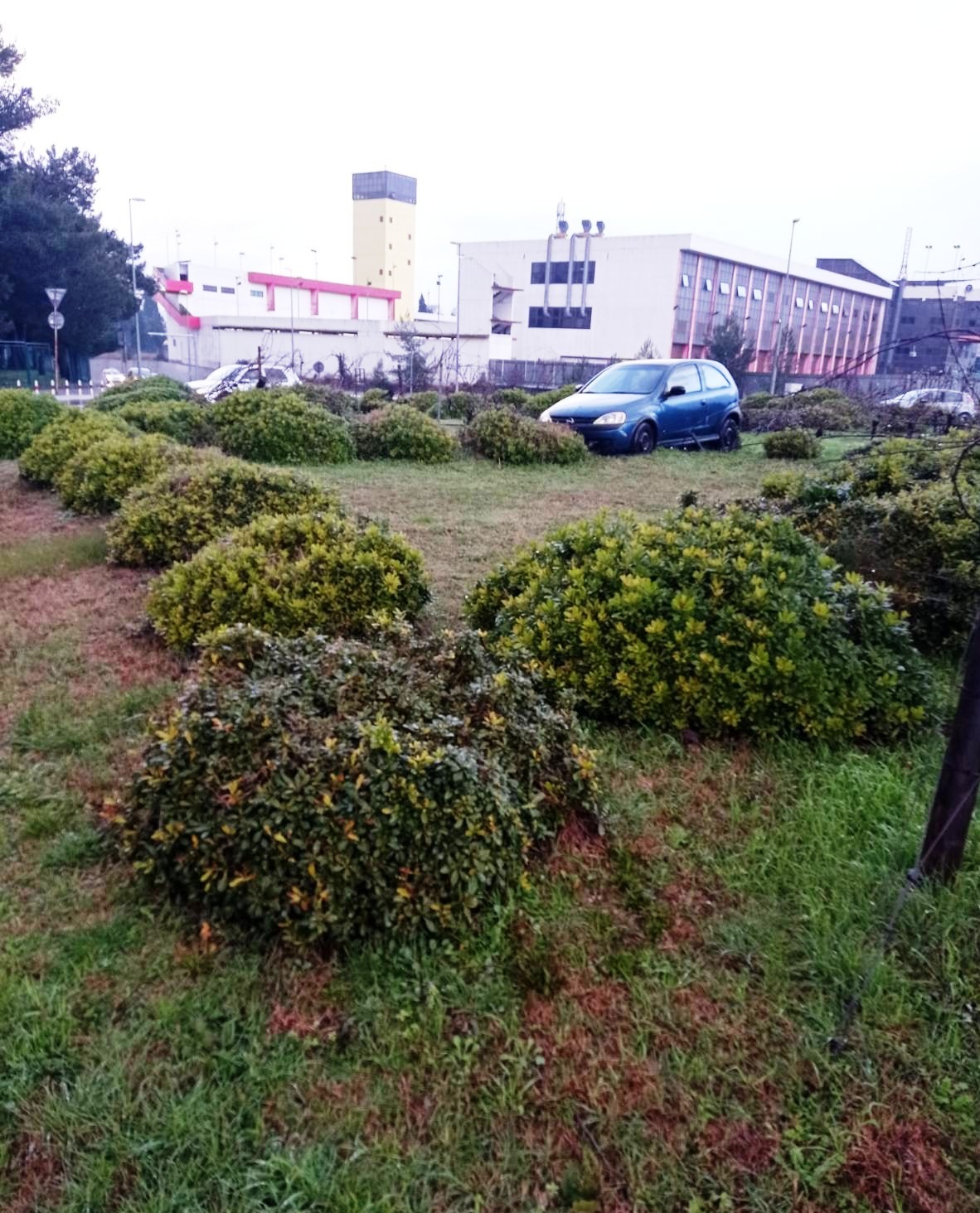 Uništeno zelenilo na Bulevaru 21. maj, apelujemo na vozače da se savjesno ophode prema zelenim površinama