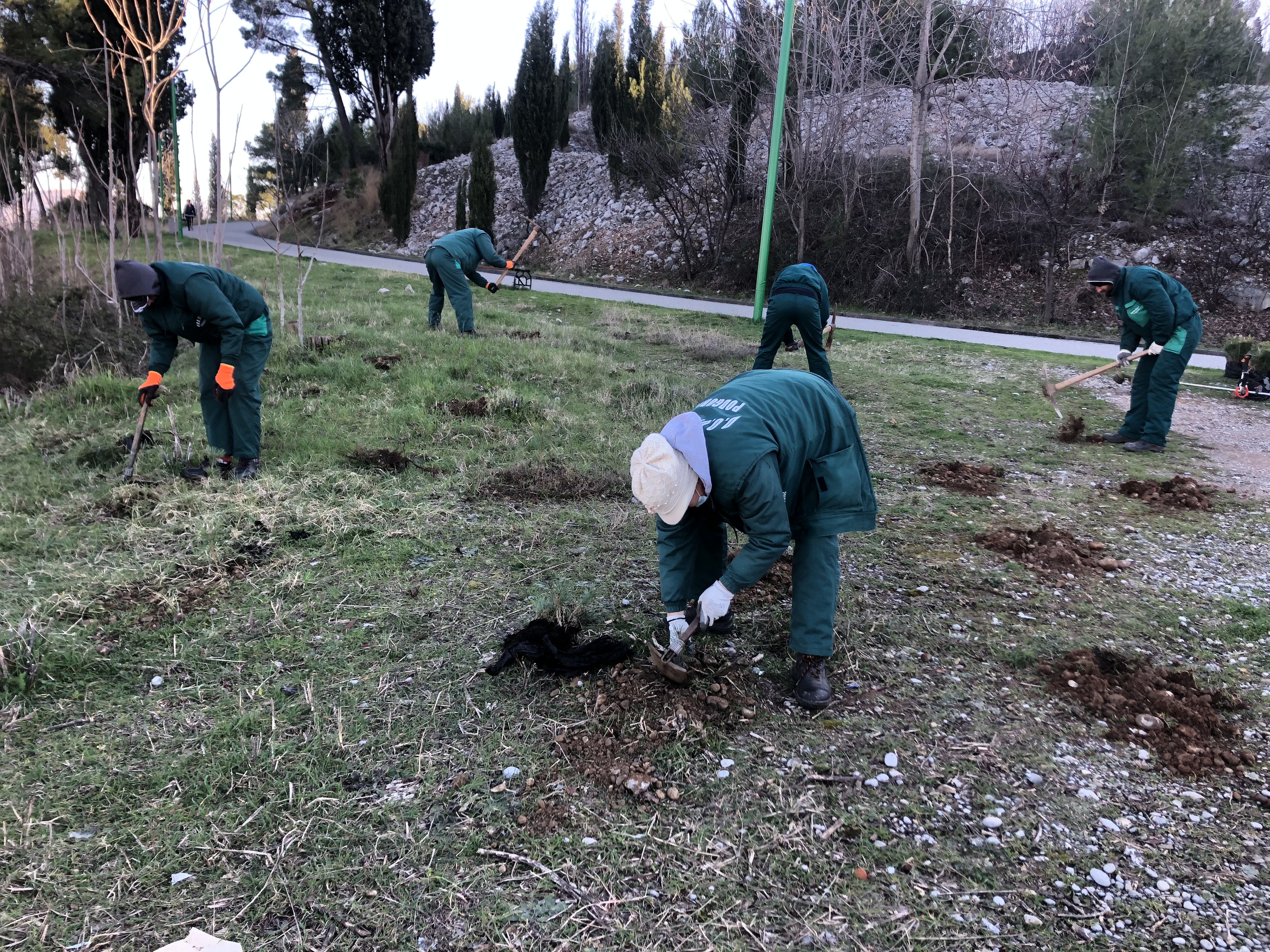 Realizovana još jedna akcija pošumljavanja; Park-šuma Ljubović bogatija za 500 sadnica