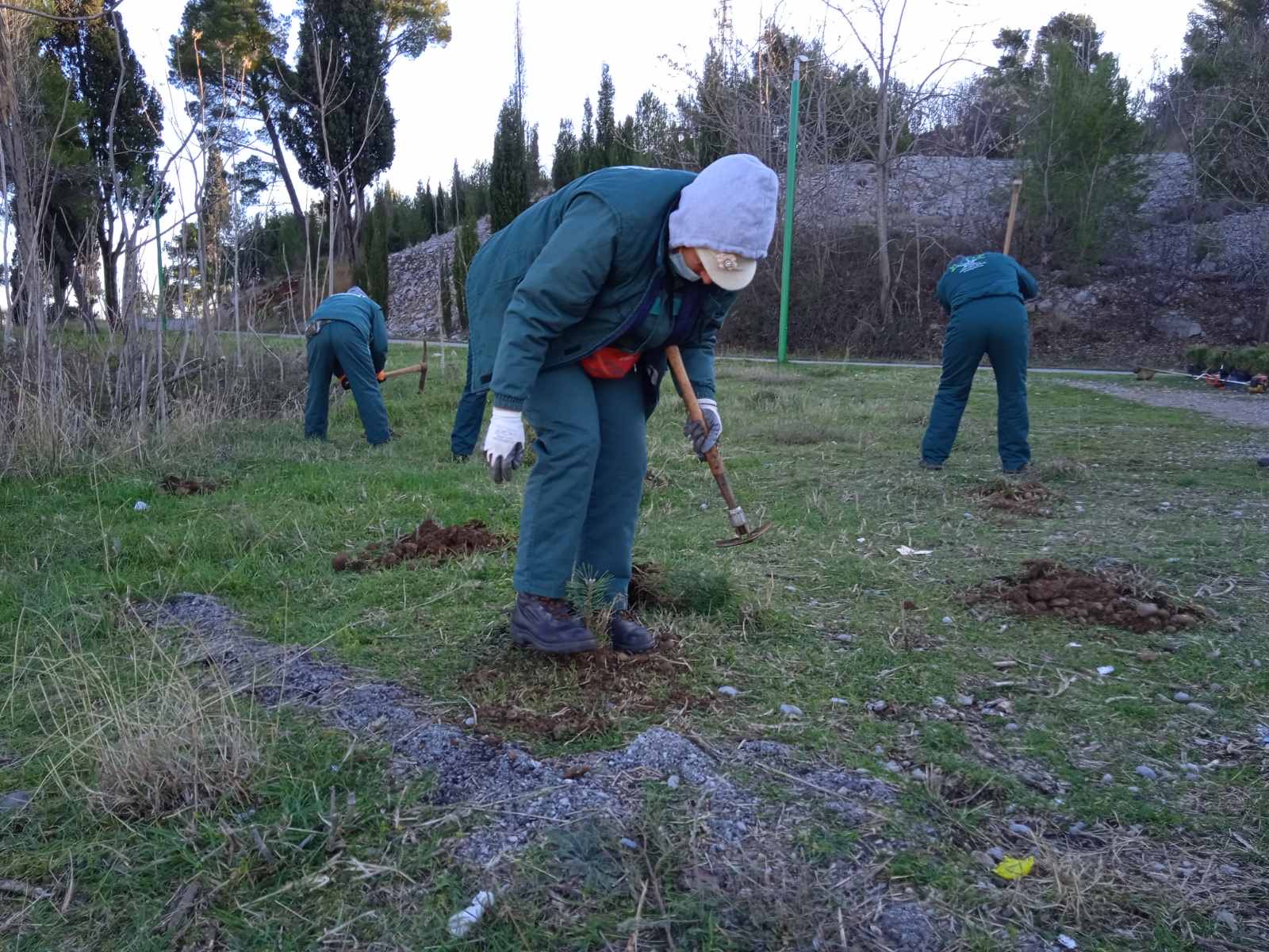 Realizovana još jedna akcija pošumljavanja; Park-šuma Ljubović bogatija za 500 sadnica
