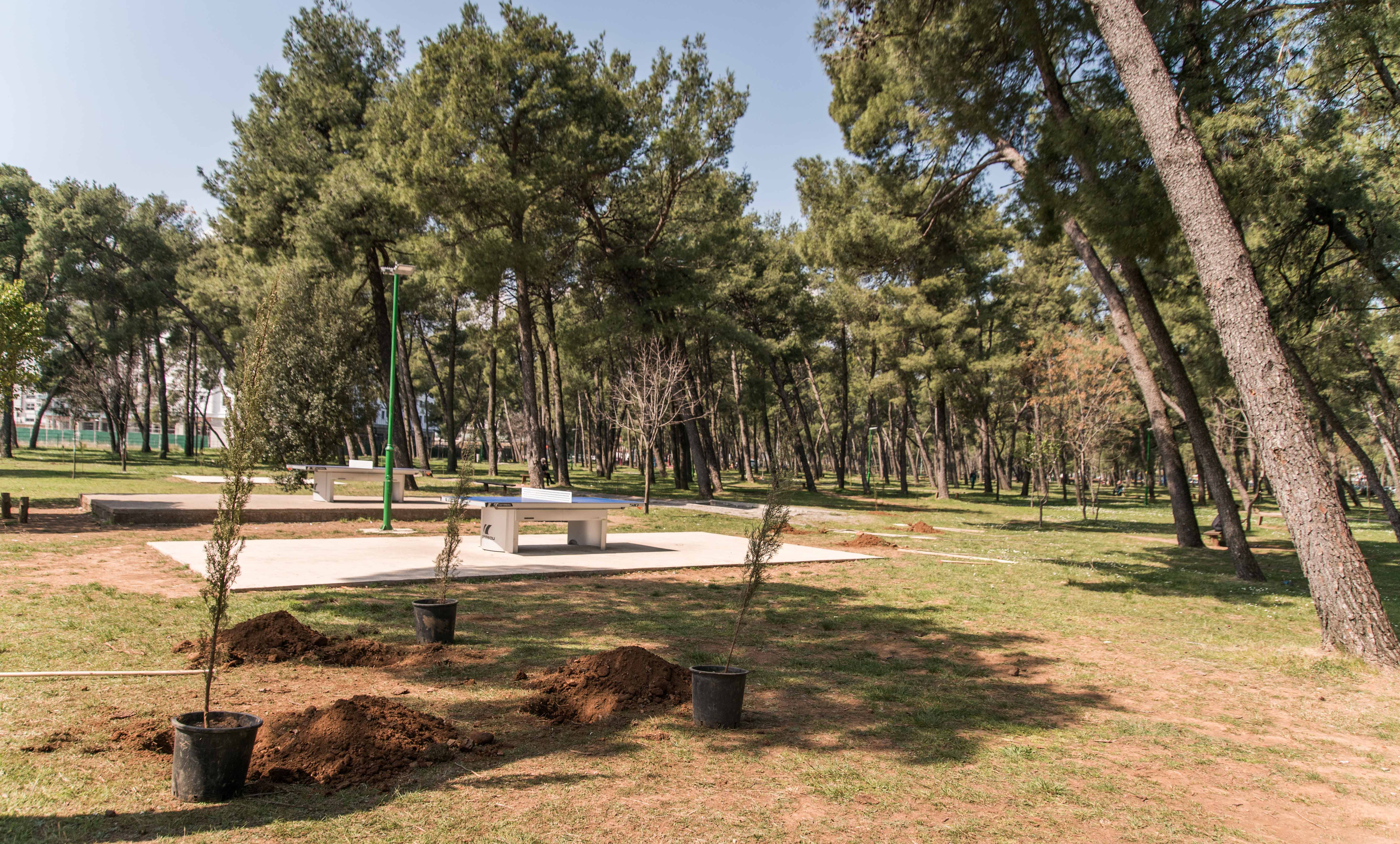Akcija Zelenila i kompanije Telemah: Park šuma Tološi dobila još 500 novih sadnica